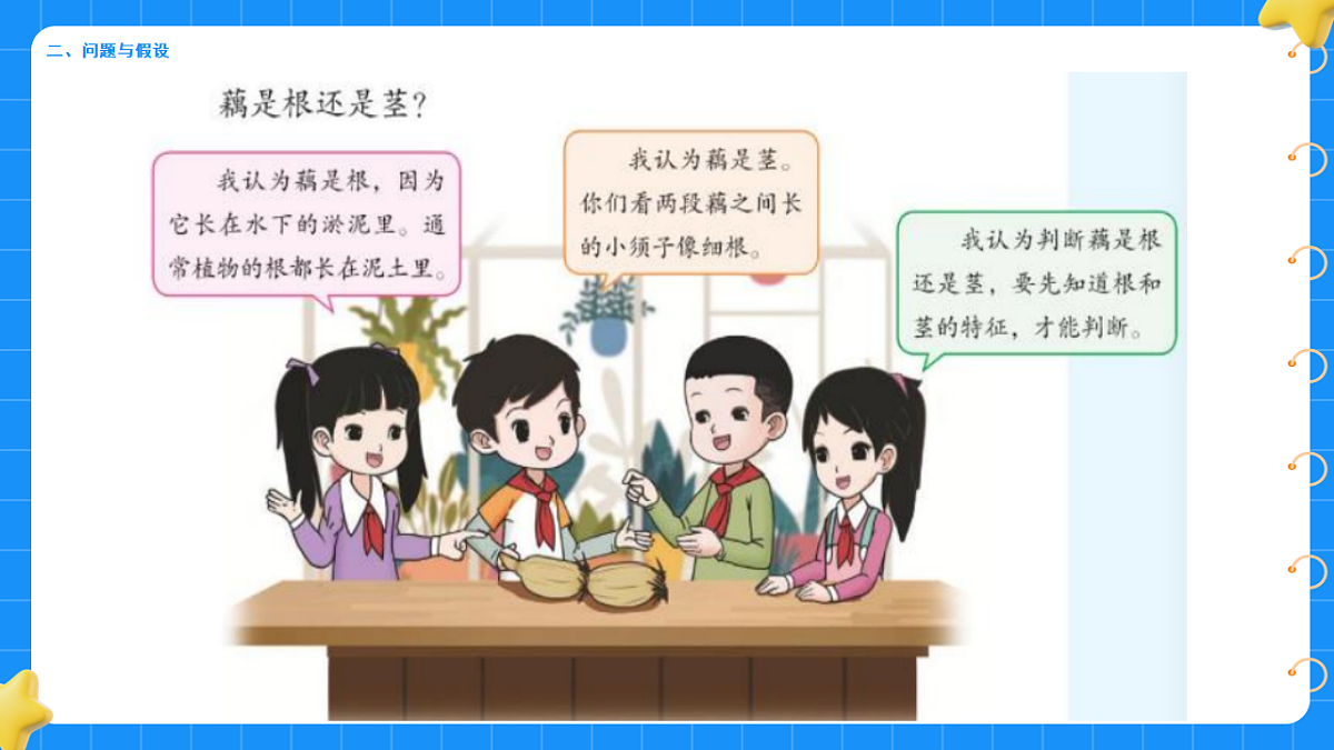 17755950第3页