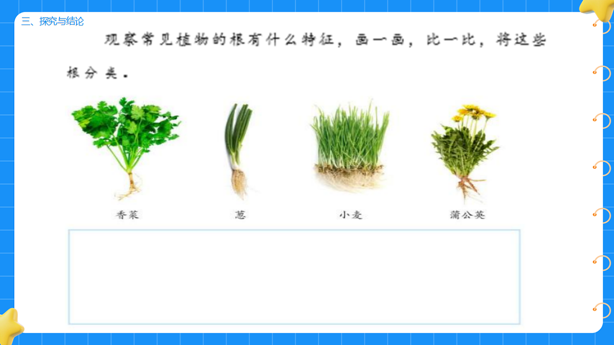 17755950第4页