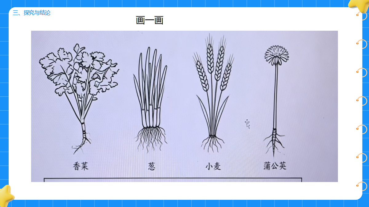 17755950第5页
