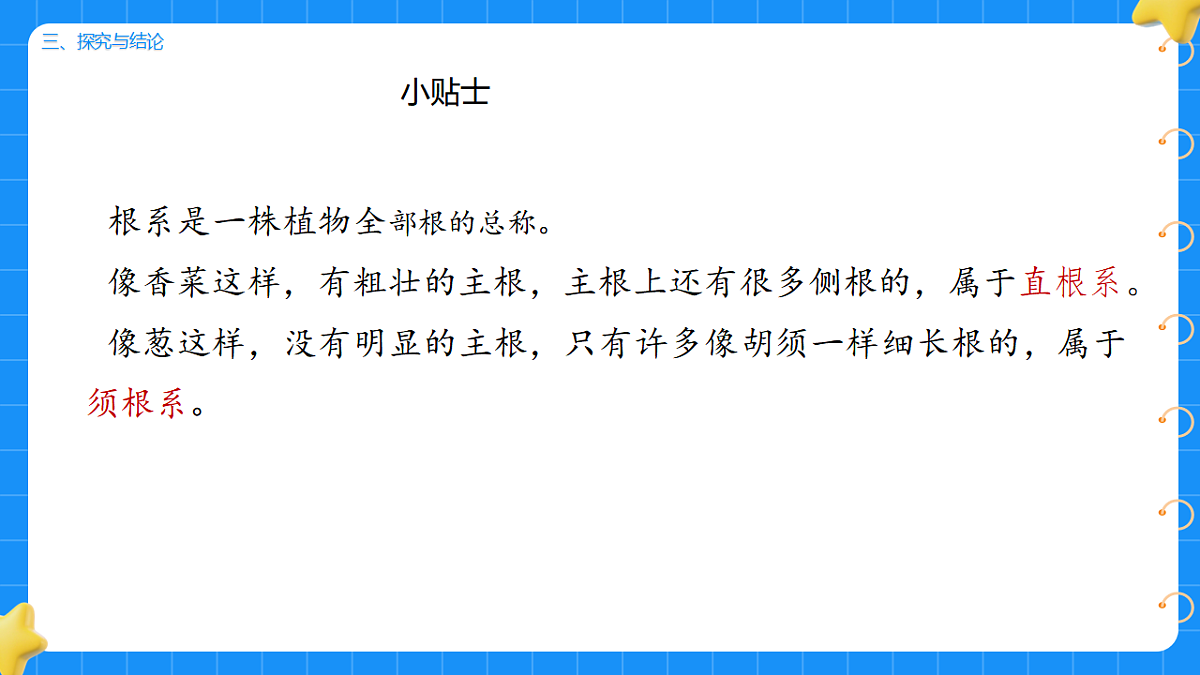 17755950第7页