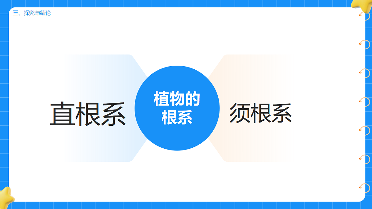 17755950第8页