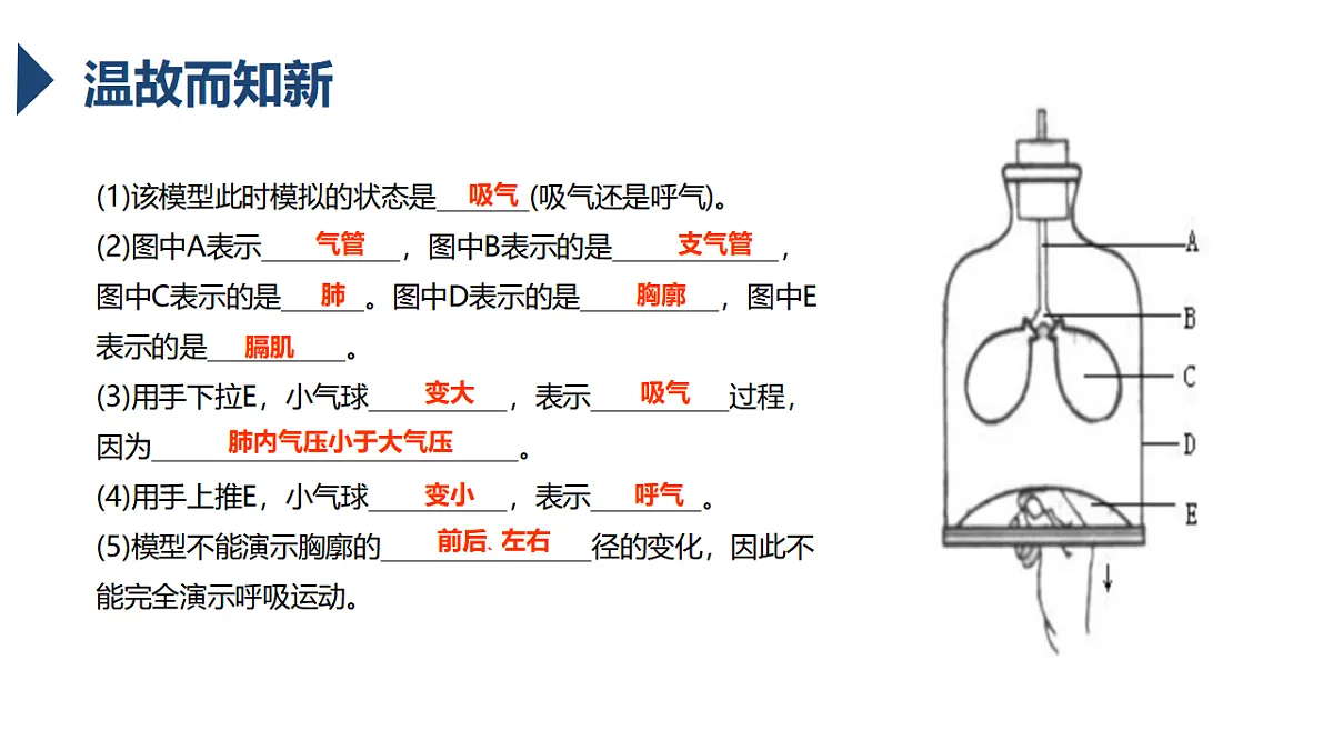 17756898第2页