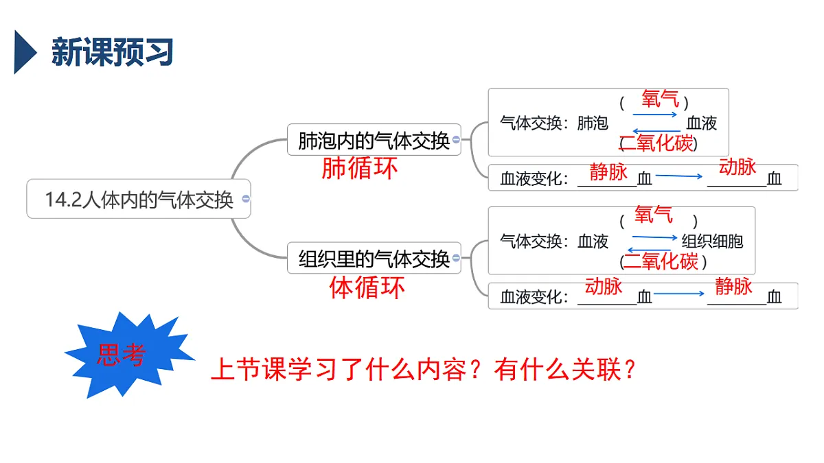 17756898第3页
