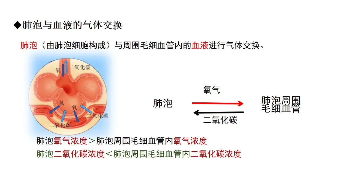 17756898第4页