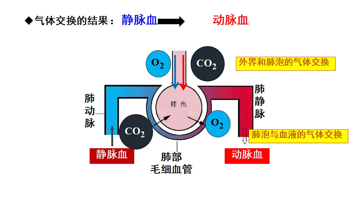 17756898第5页
