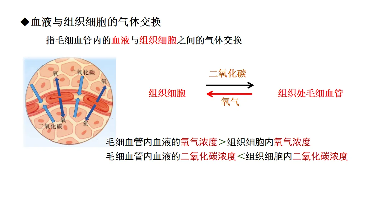 17756898第6页
