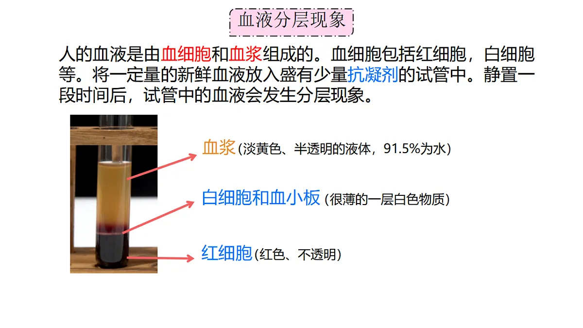17756997第4页