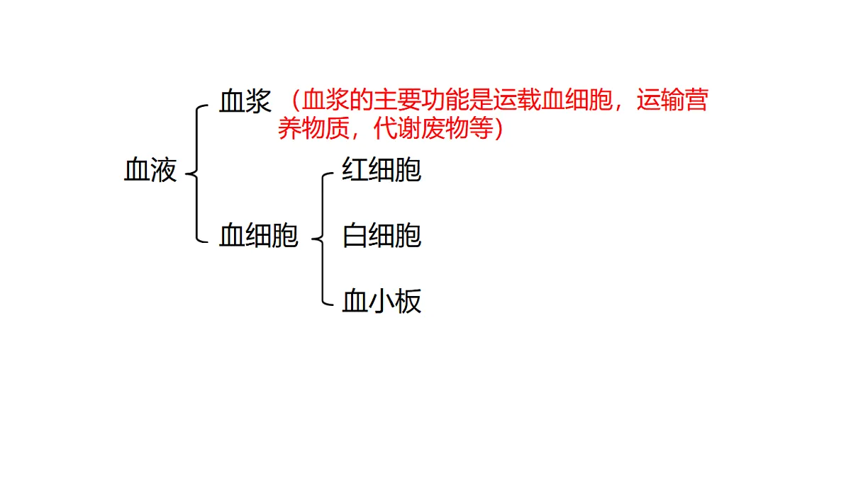 17756997第5页