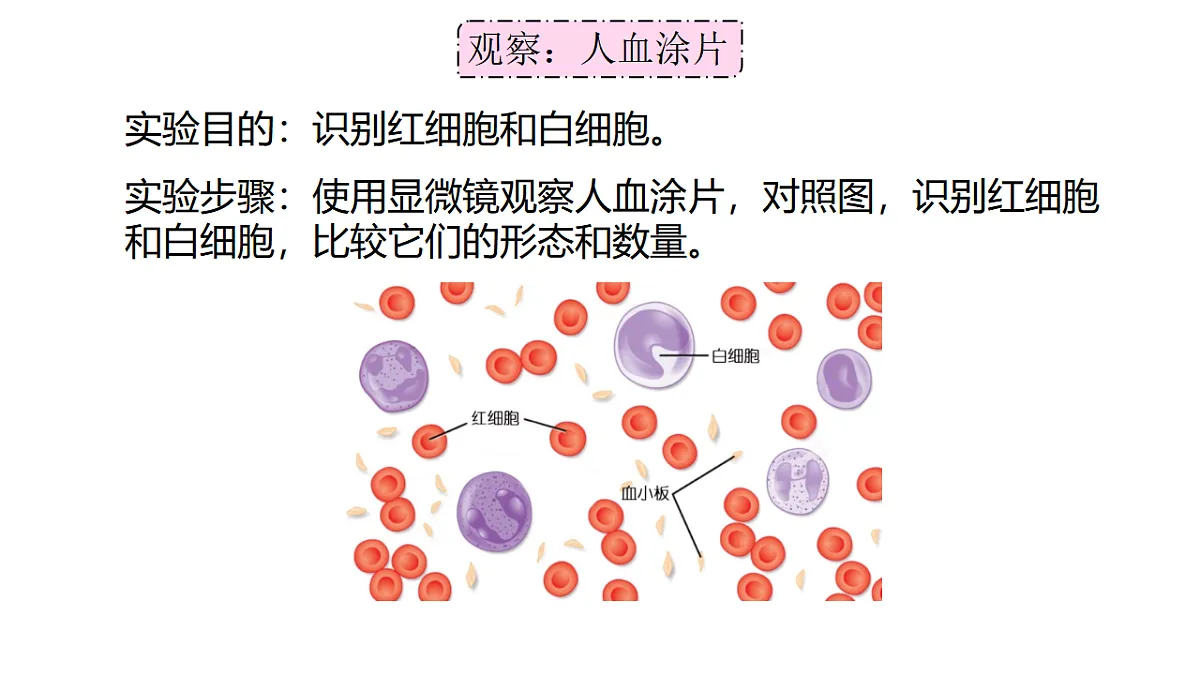 17756997第6页