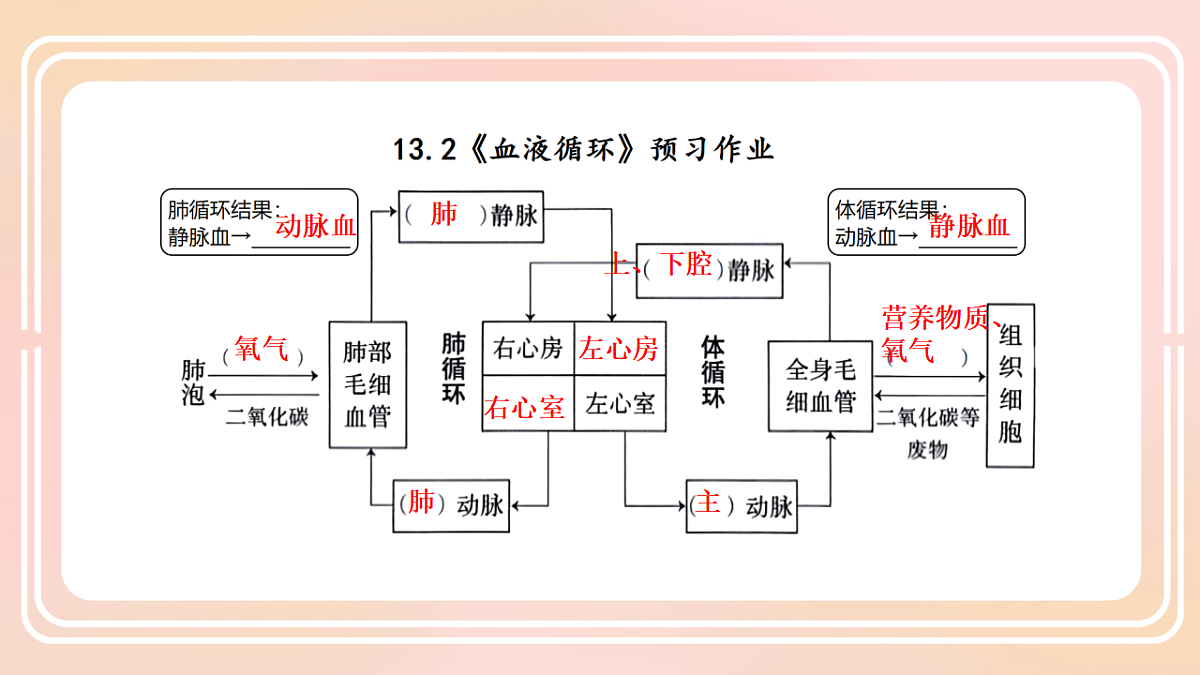 17757023第2页