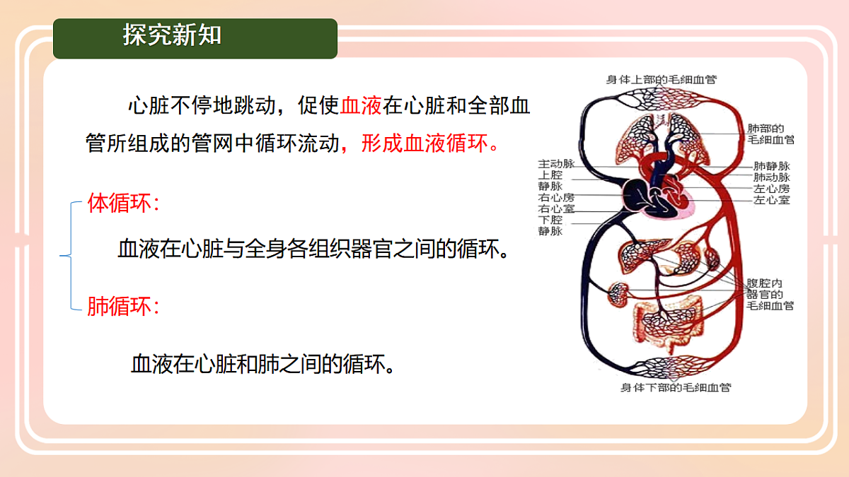 17757023第3页