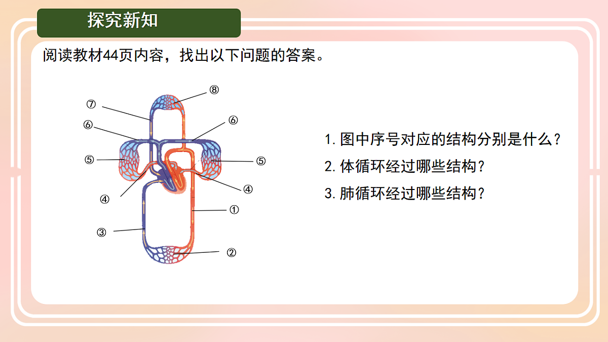17757023第4页