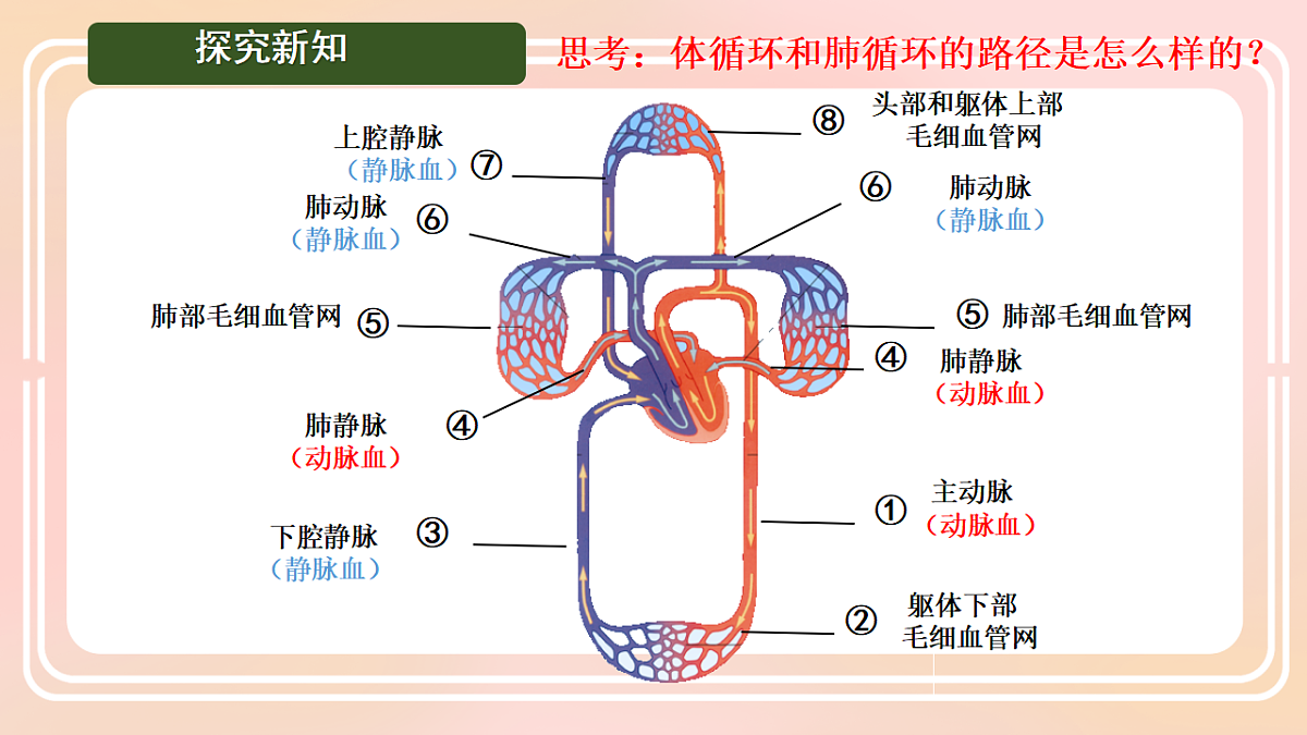 17757023第5页