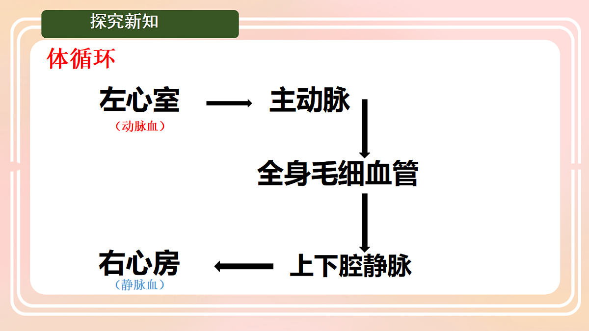 17757023第6页
