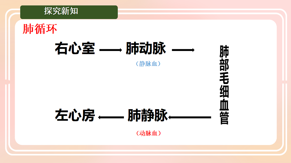 17757023第7页