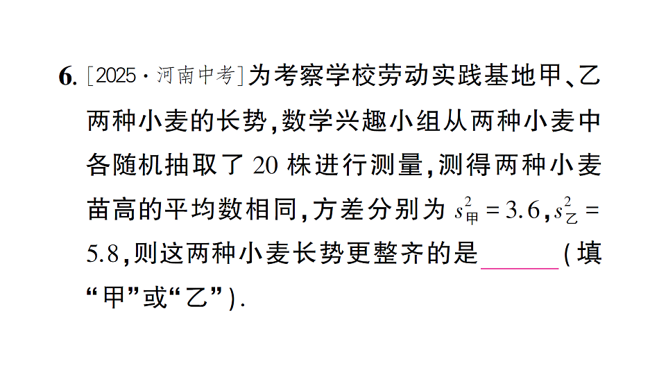 17757397第7页