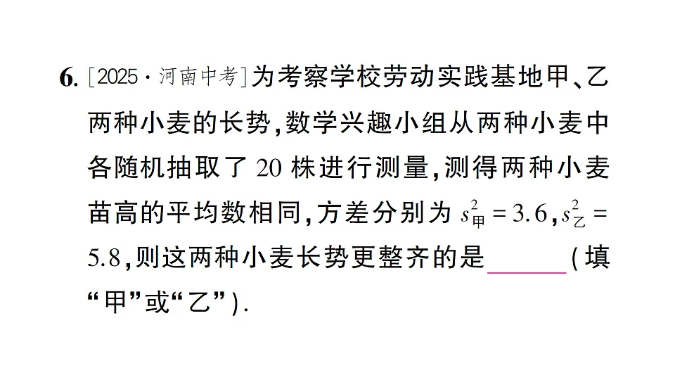 17757410第7页