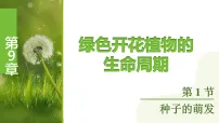 初中生物苏教版（2024）七年级下册（2024）种子的萌发示范课ppt课件