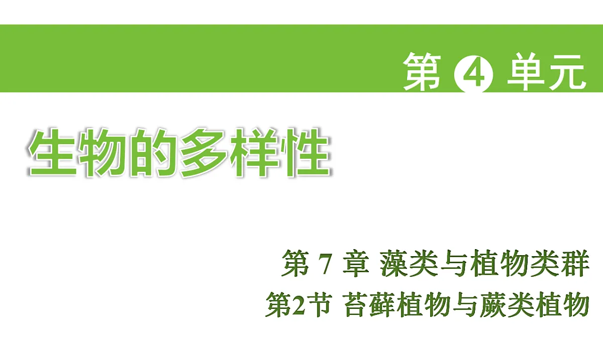 17757563第1页