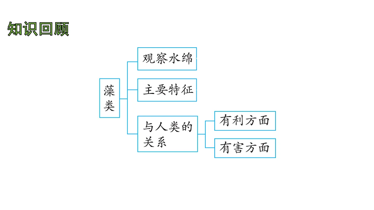 17757563第2页