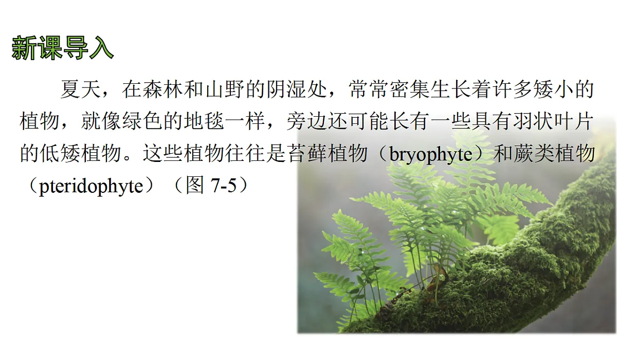 17757563第4页
