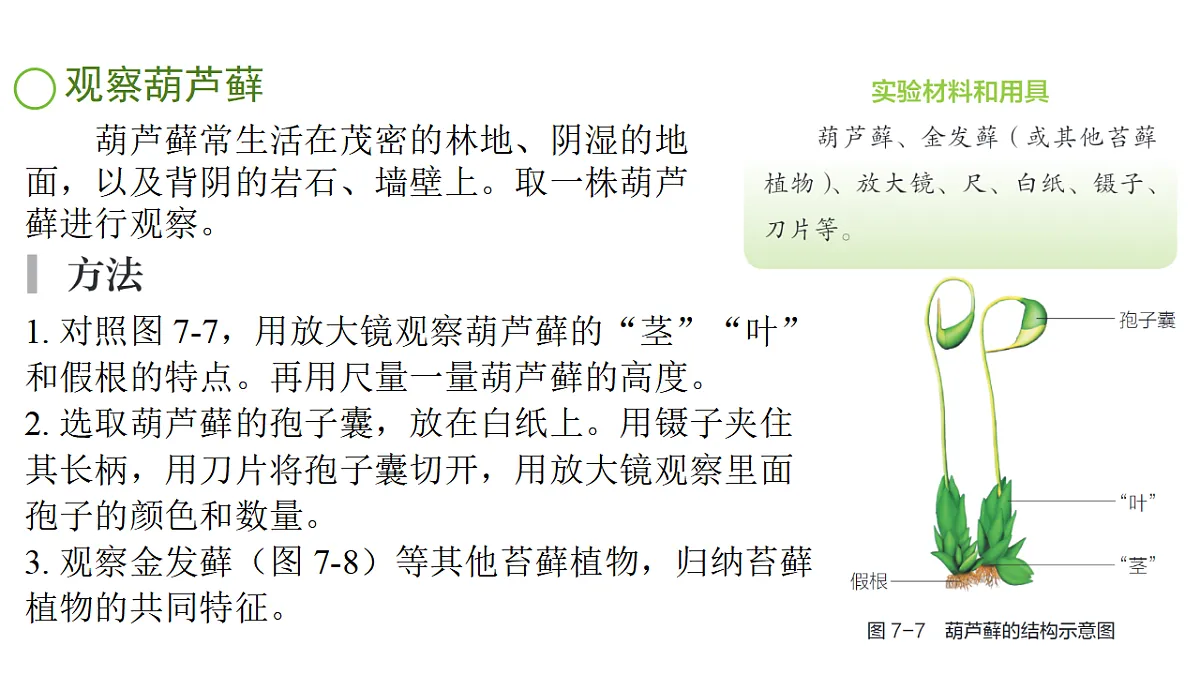 17757563第6页
