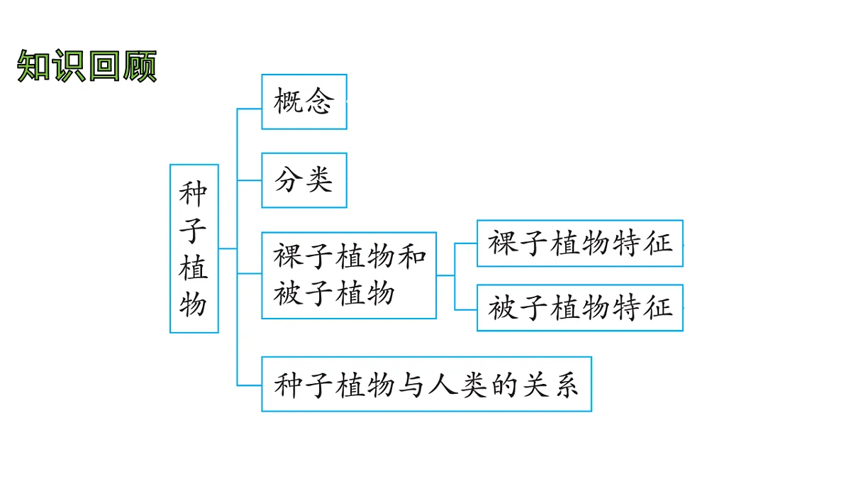 17757565第2页