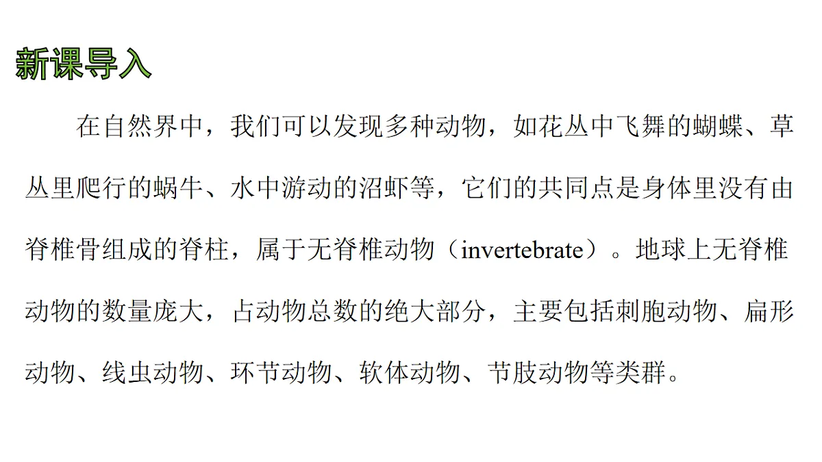 17757565第4页