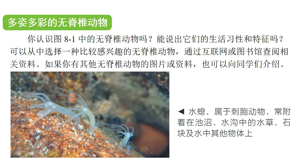 17757565第5页