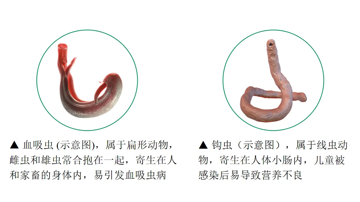 17757565第6页