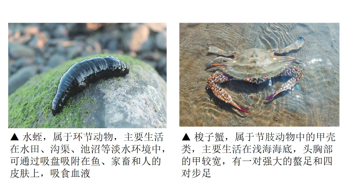 17757565第7页