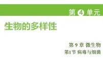 苏科版（2024）七年级下册（2024）病毒与细菌说课ppt课件