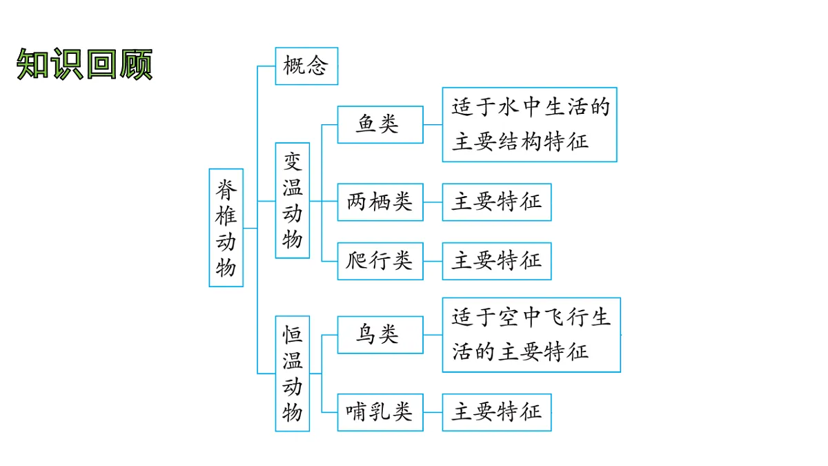 17757567第2页