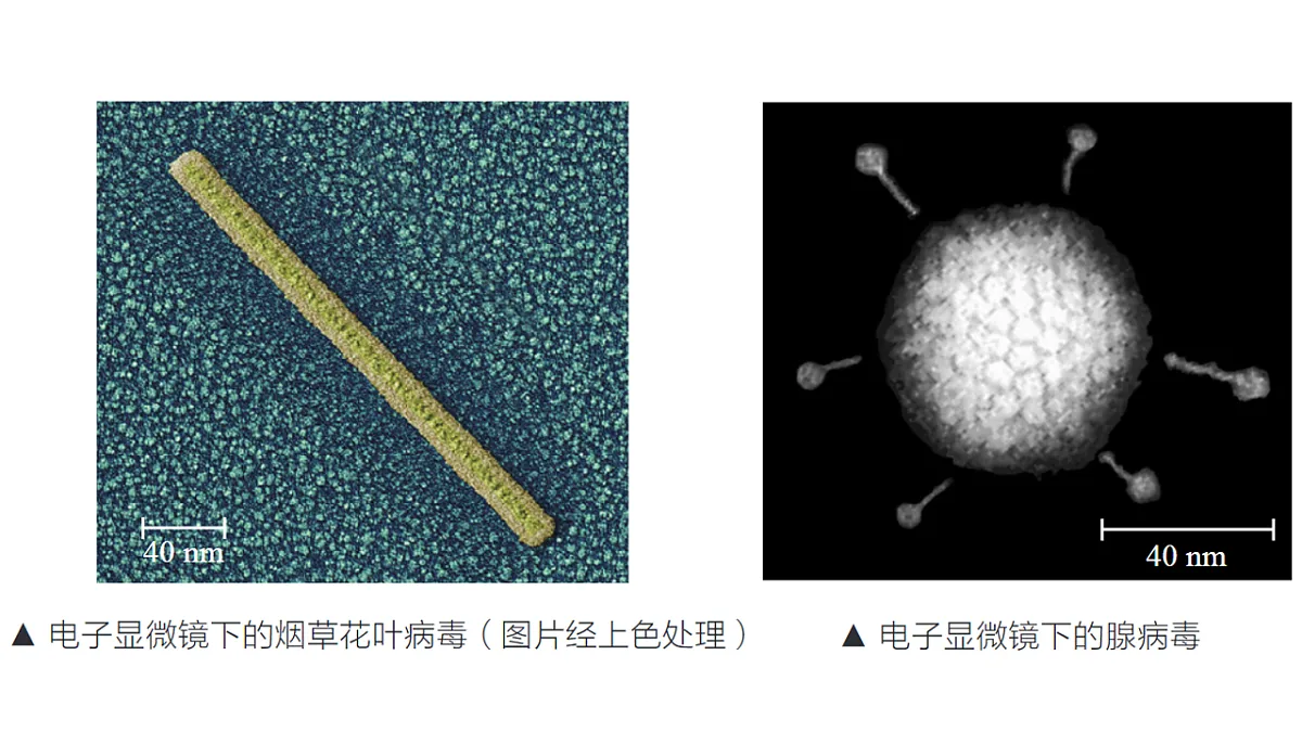 17757567第6页
