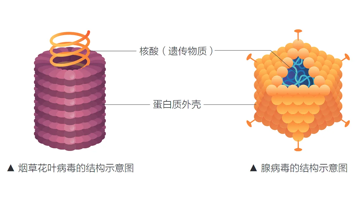 17757567第7页