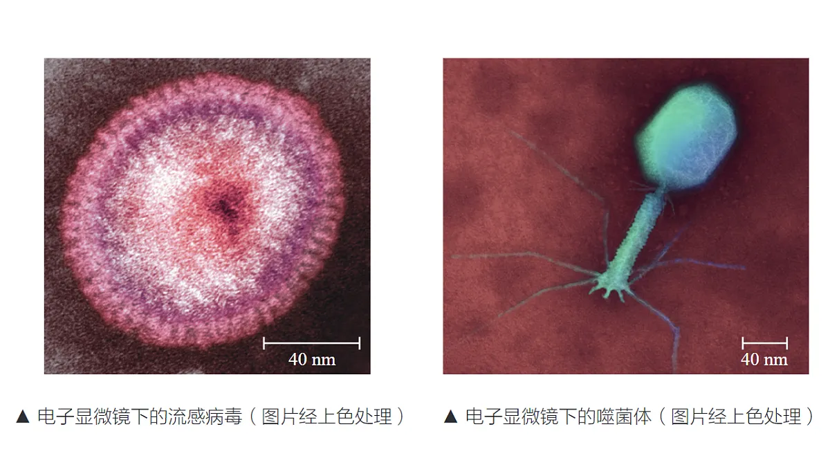 17757567第8页