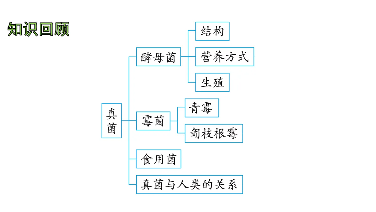17757569第2页