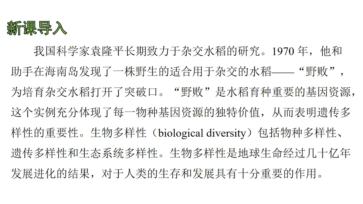 17757569第4页