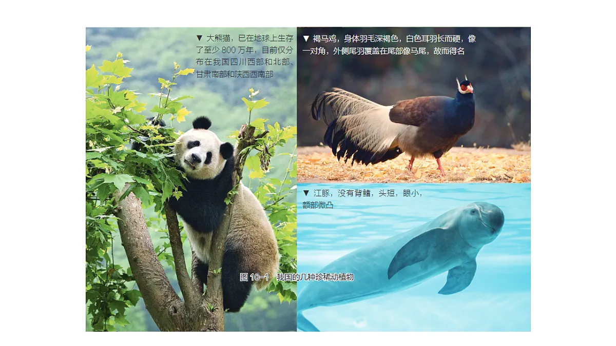 17757569第8页