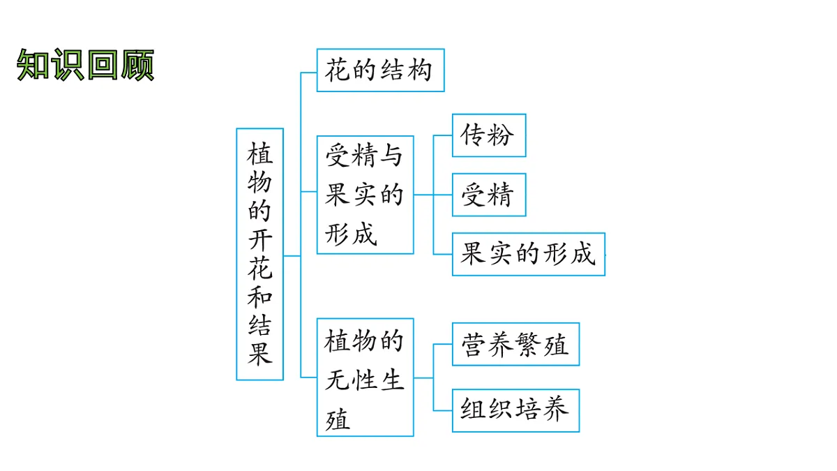 17757574第2页