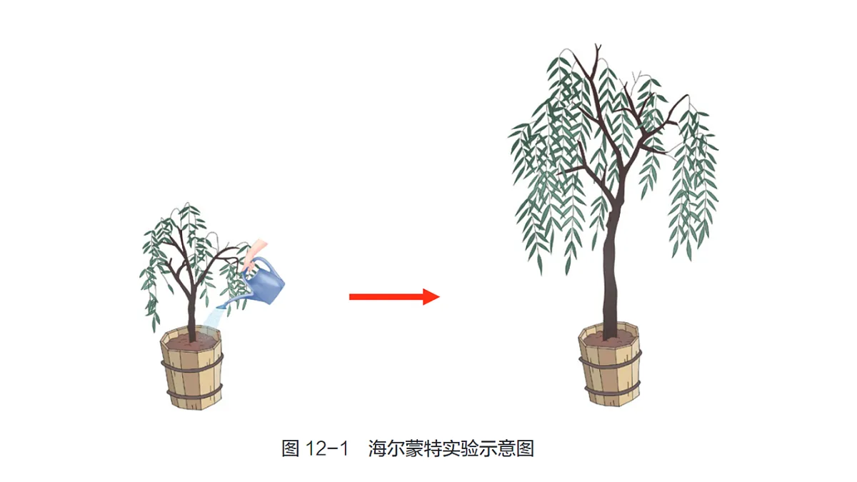 17757574第5页