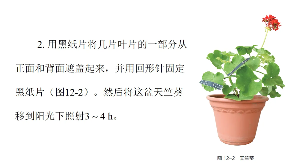 17757574第7页