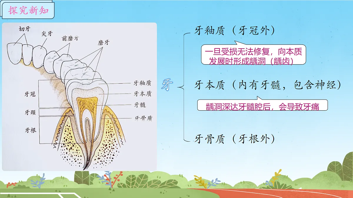 17757643第5页
