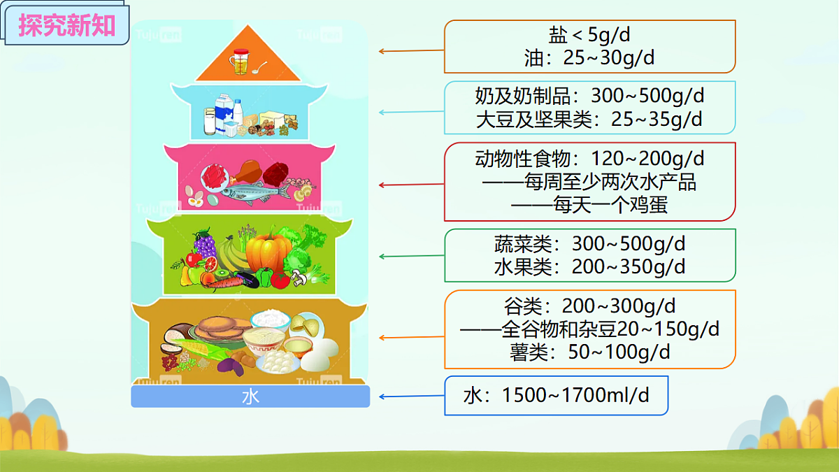 17757649第5页
