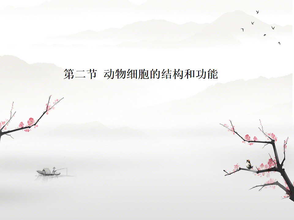 17758079第1页