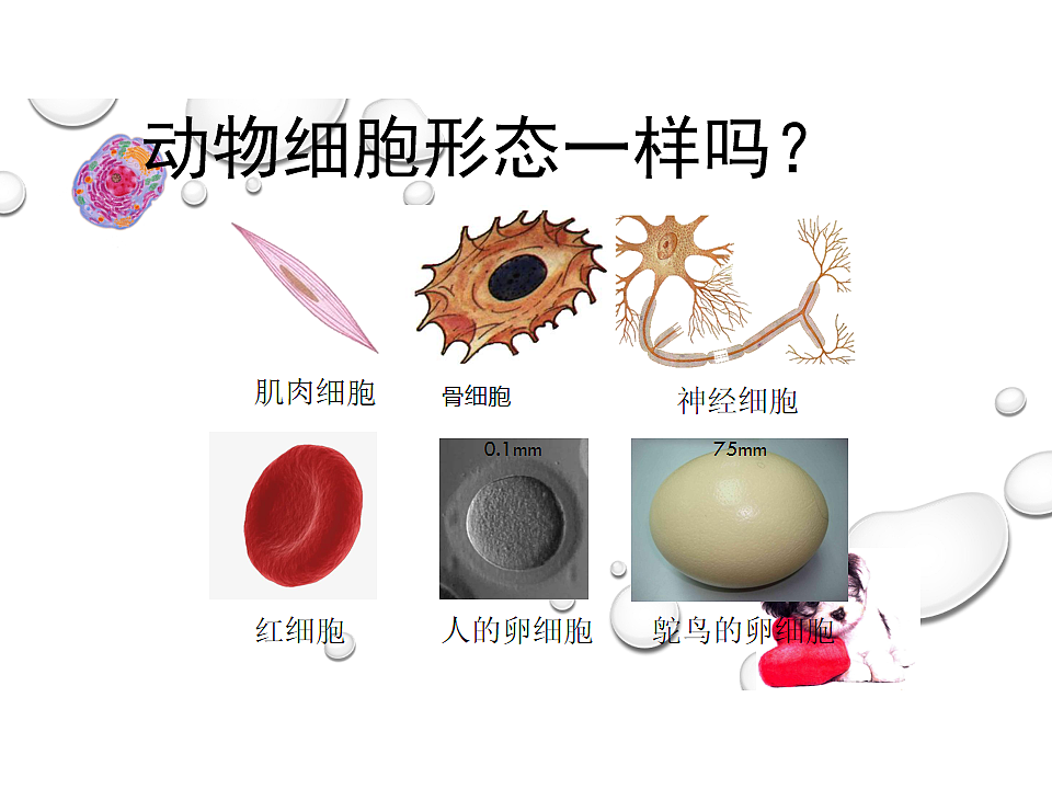 17758079第3页