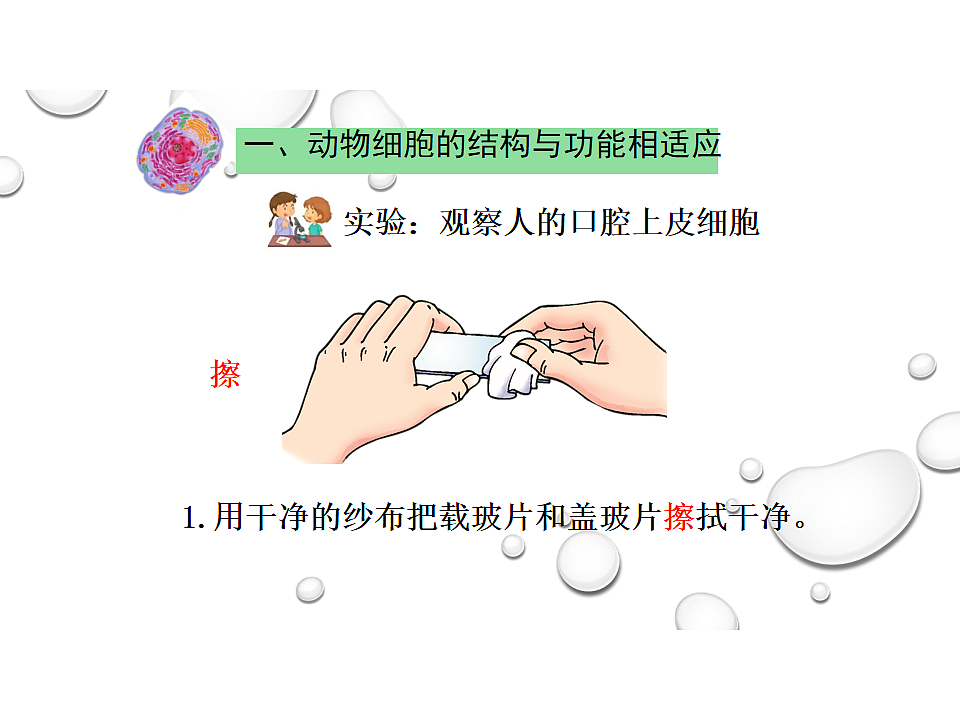 17758079第4页
