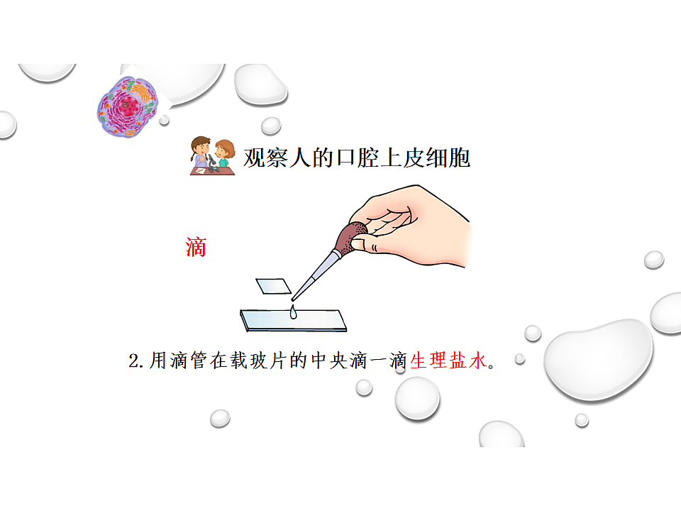 17758079第5页