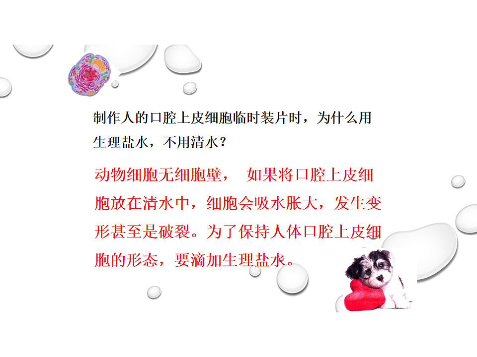 17758079第6页