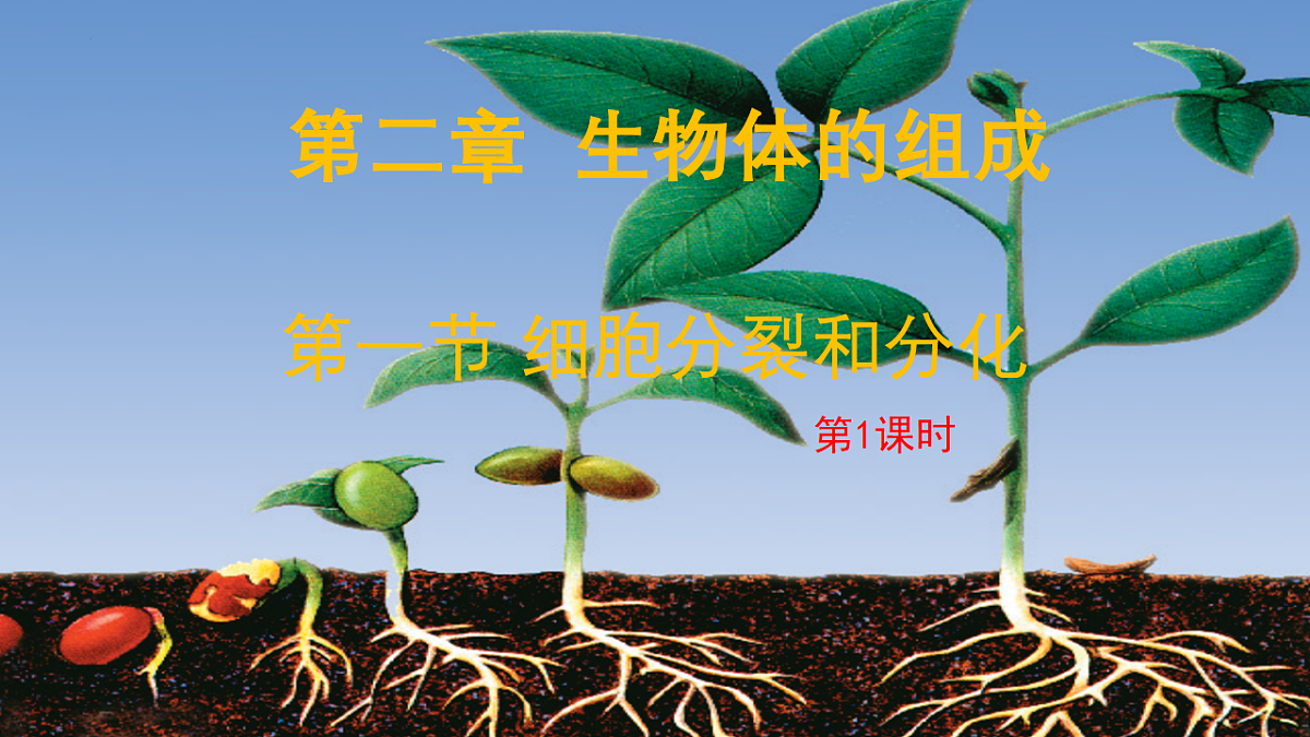 17760368第1页